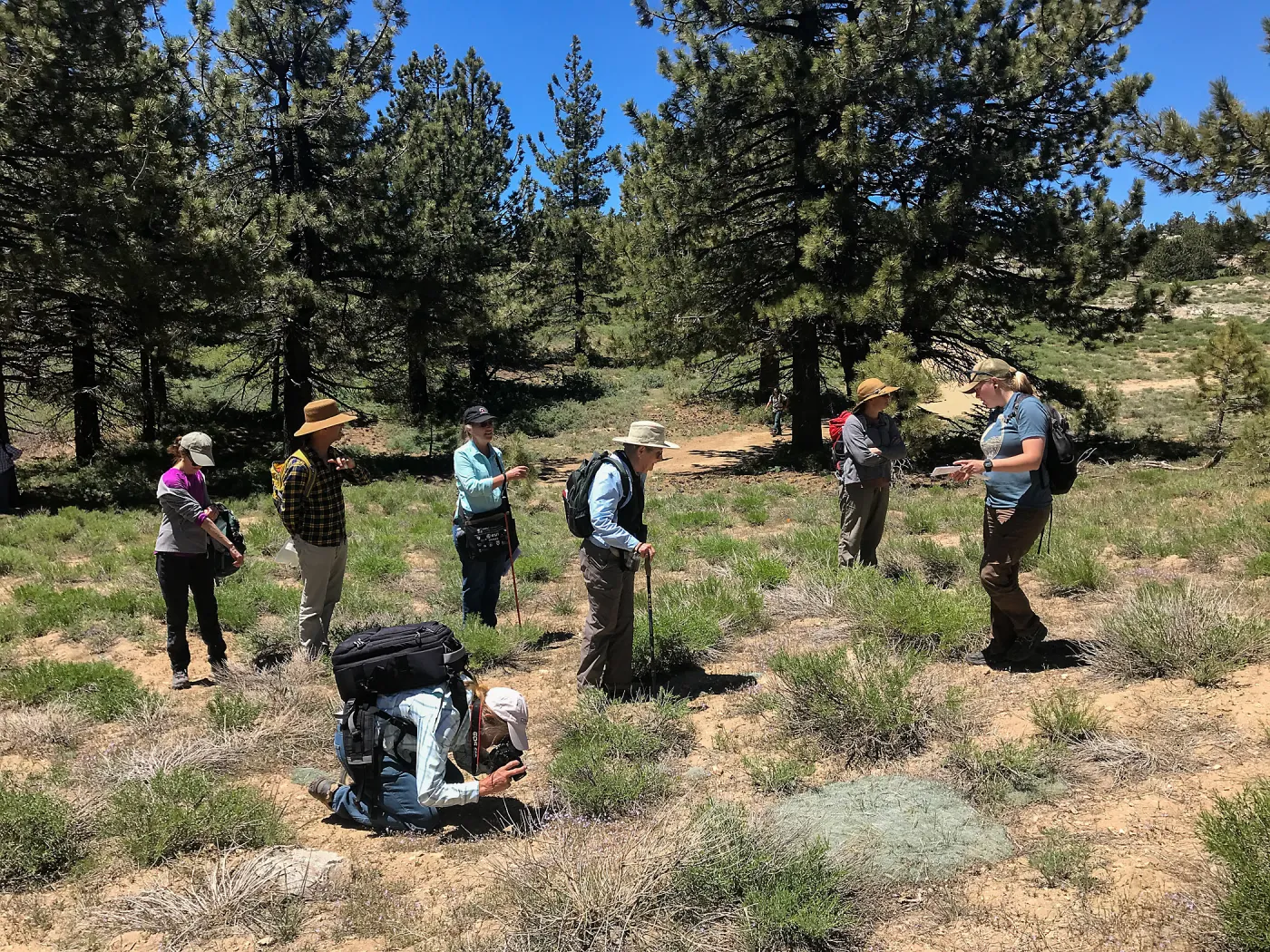 Mt. PiÃ±os field trip