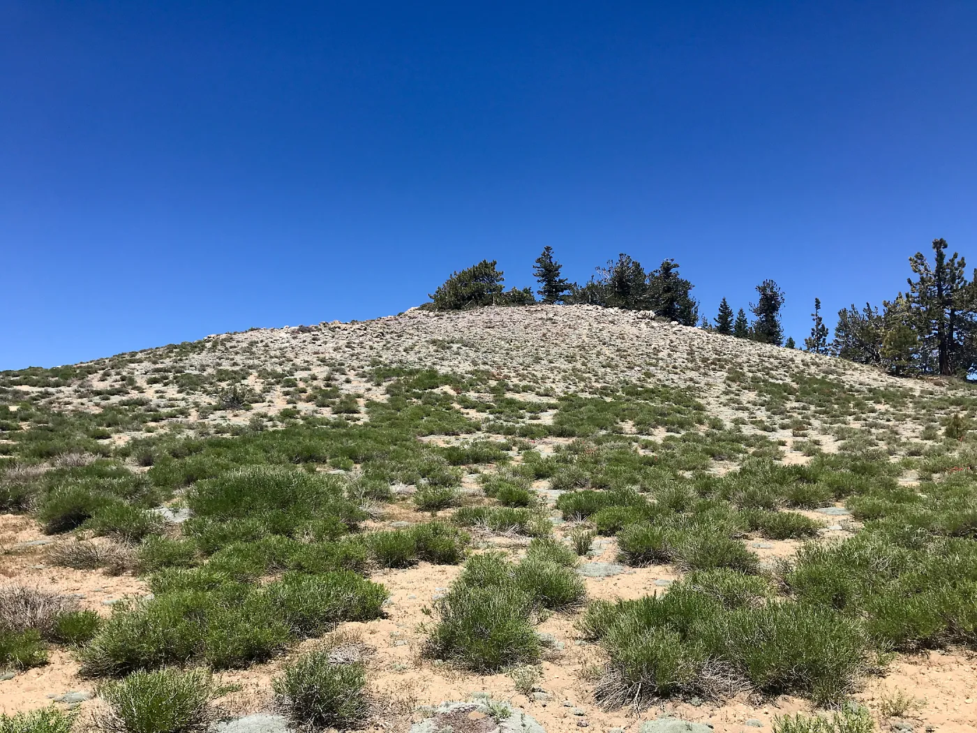 Mt. PiÃ±os field trip