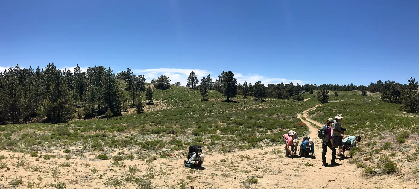 Mt. PiÃ±os field trip