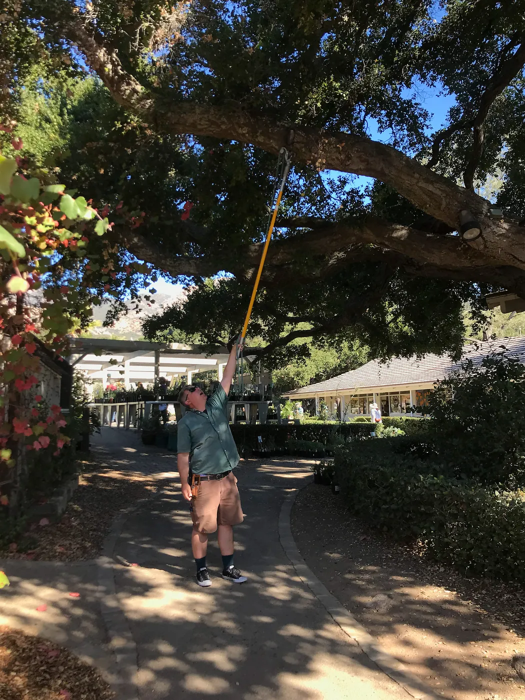Pruning Natives Demystified with Bruce Reed