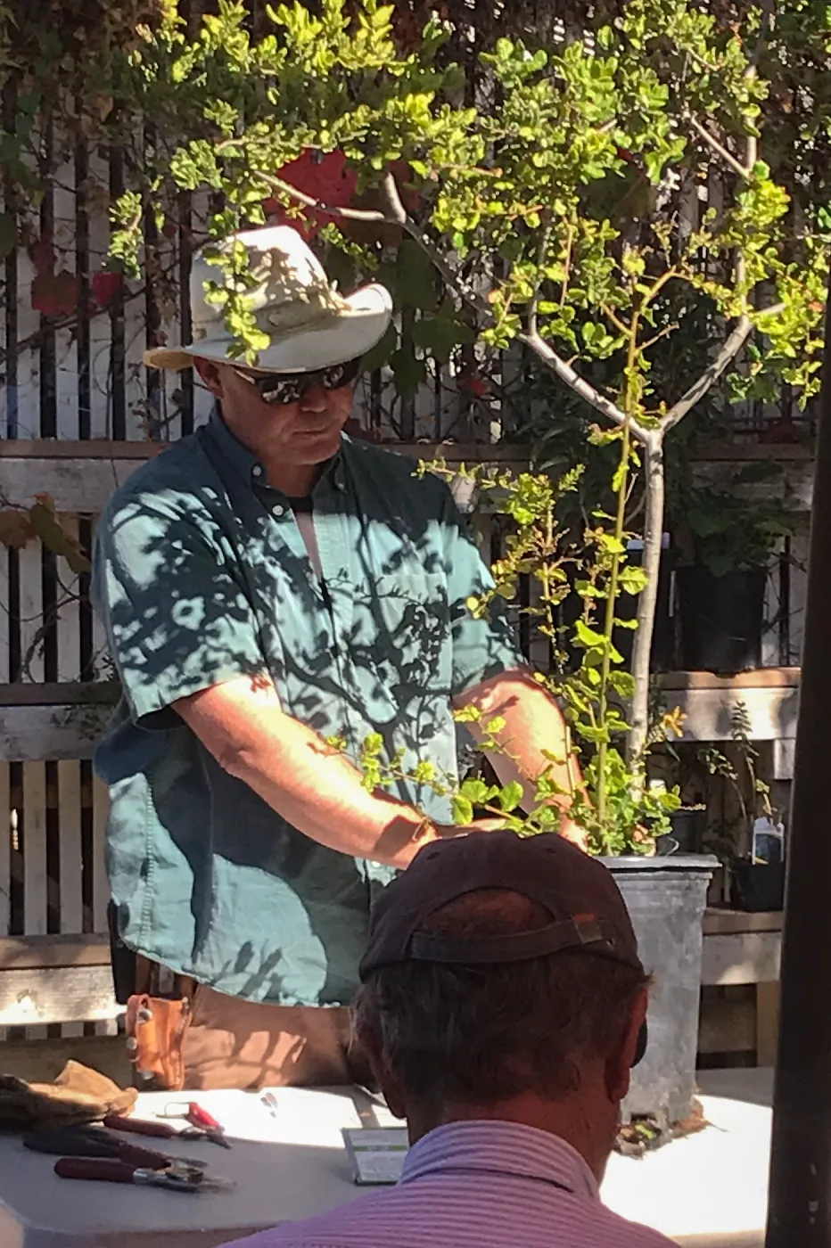 Pruning Natives Demystified with Bruce Reed