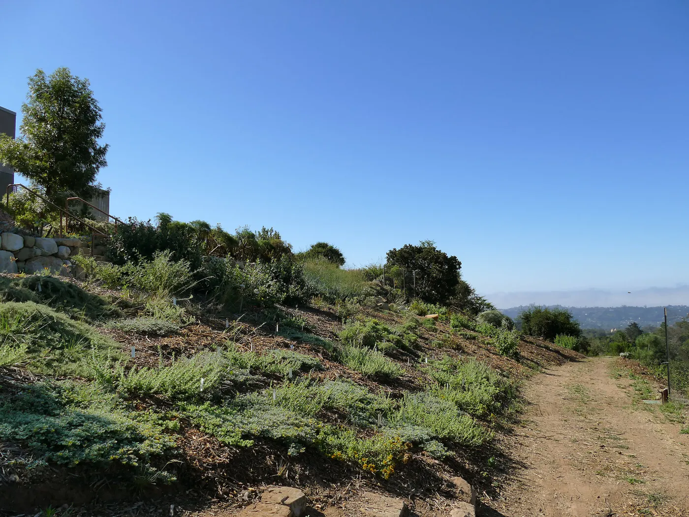 Pritzlaff Conservation Center west slope