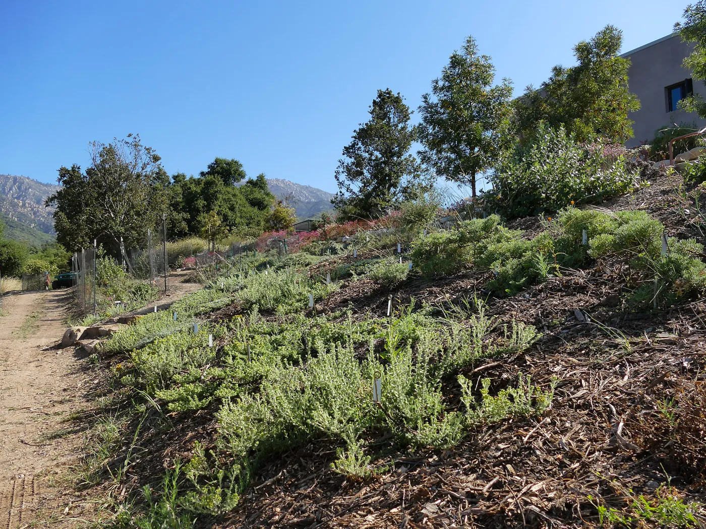 Pritzlaff Conservation Center west slope