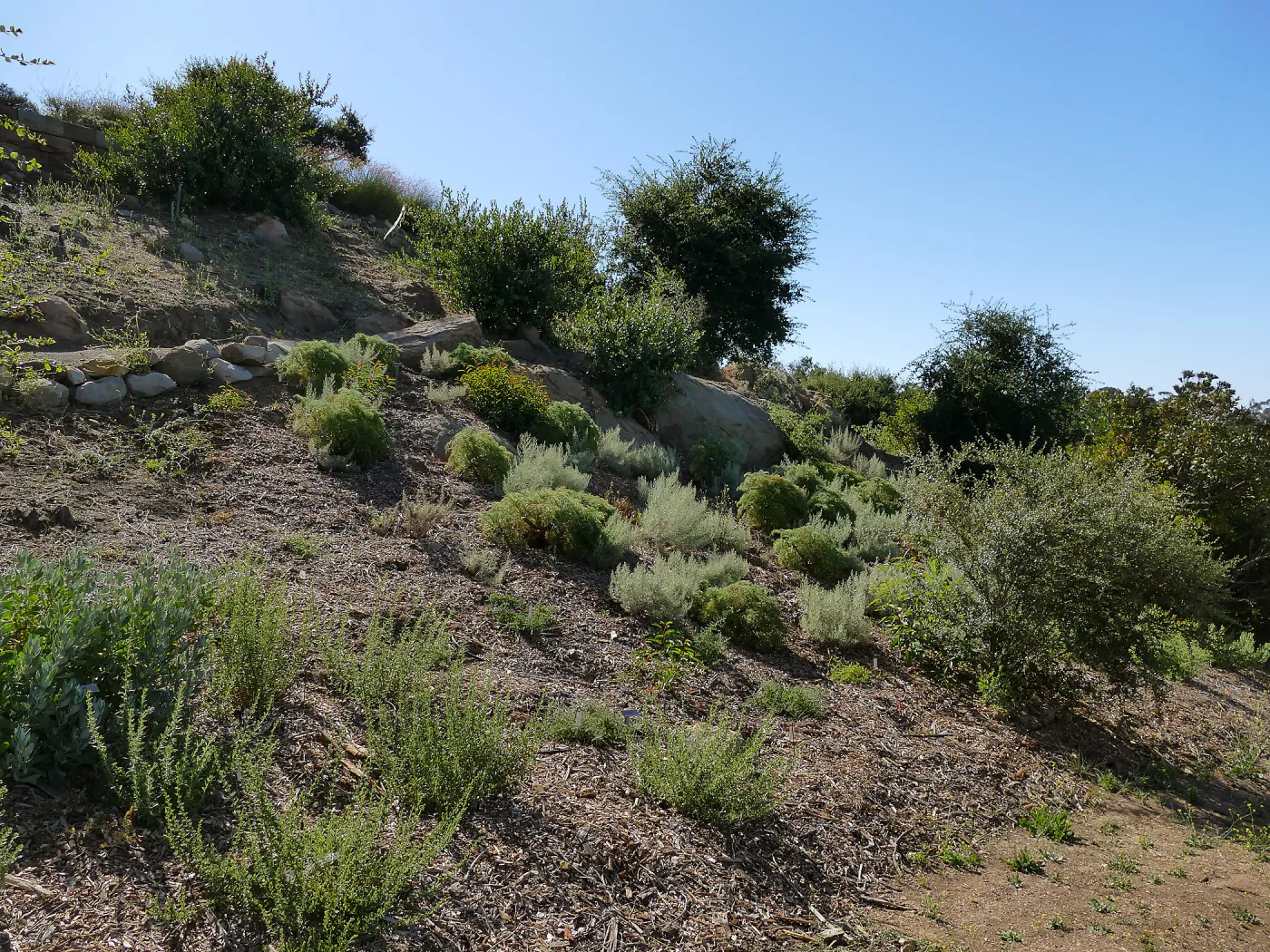 Pritzlaff Conservation Center west slope