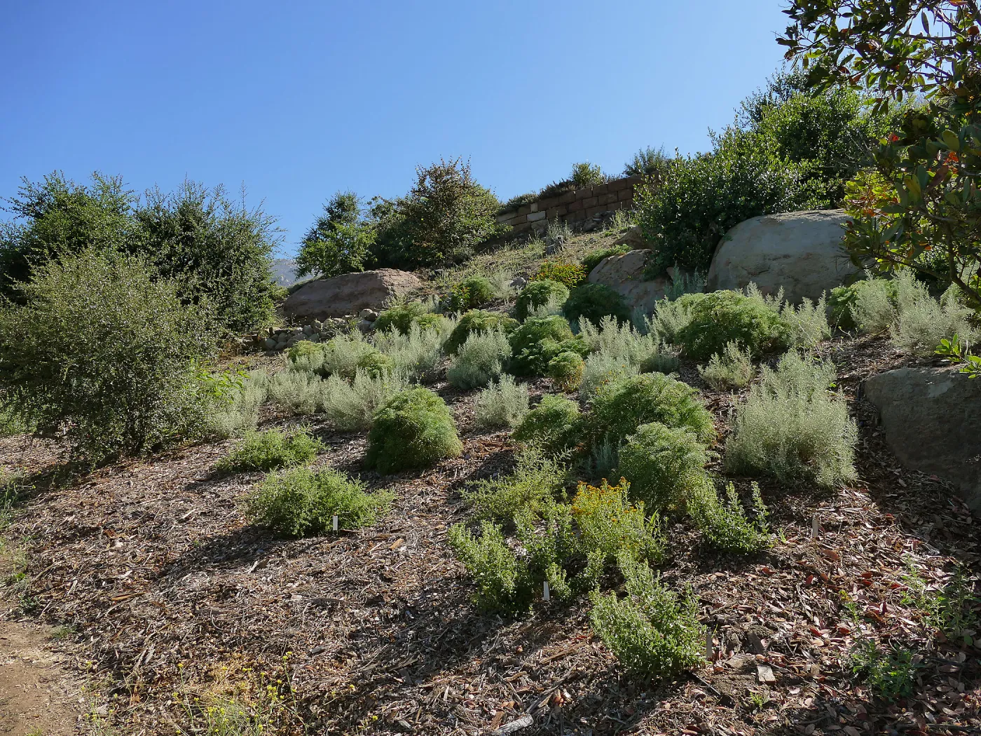 Pritzlaff Conservation Center west slope