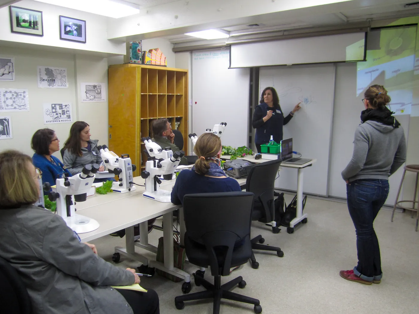 Advanced Plant Identification with Mary Carroll