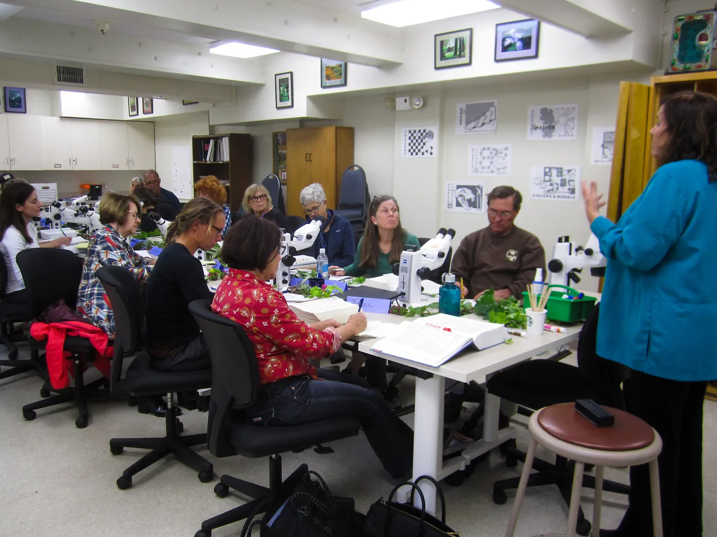 Advanced Plant Identification with Mary Carroll