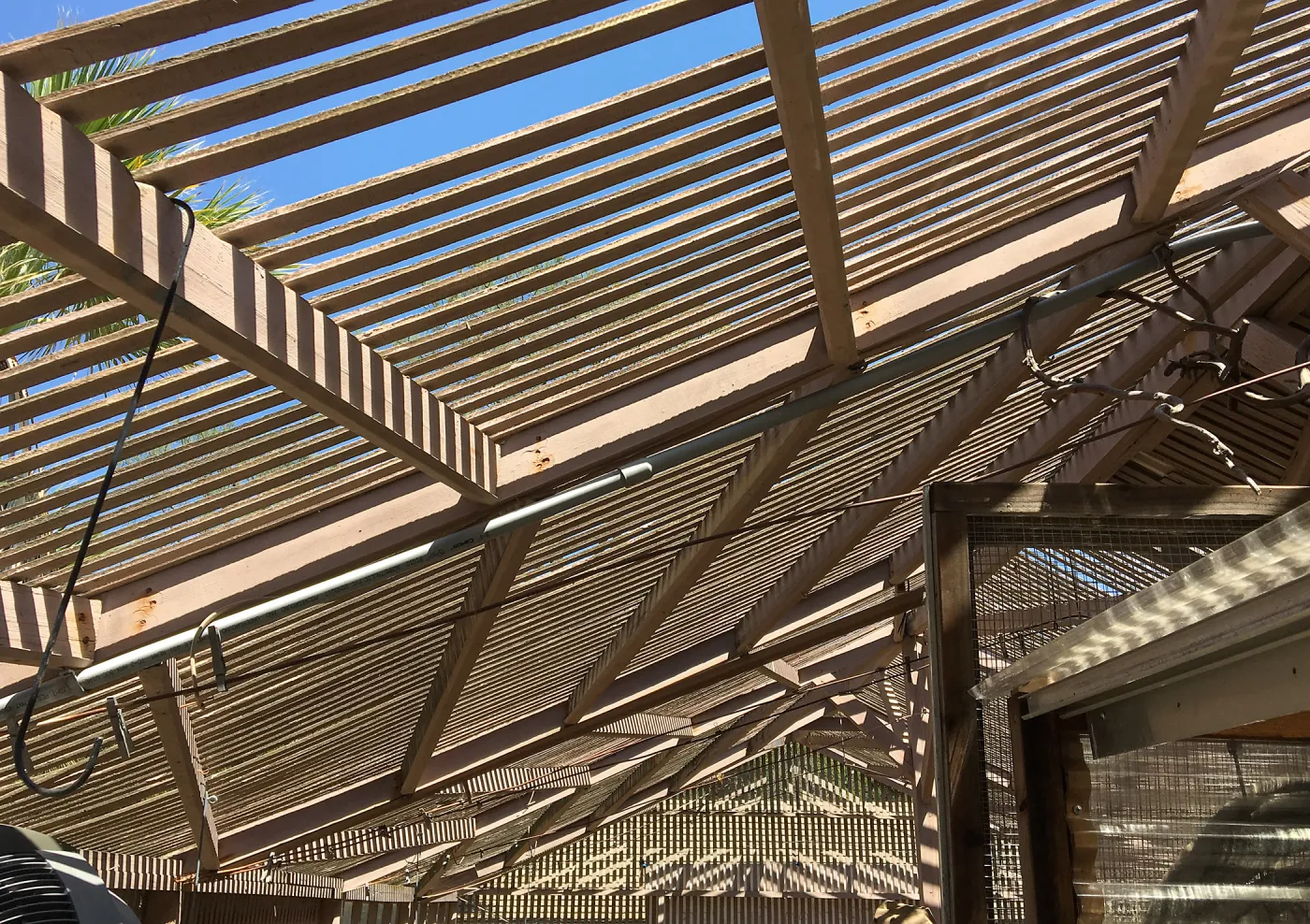 Repair of Garden Growers Lath House, looking east