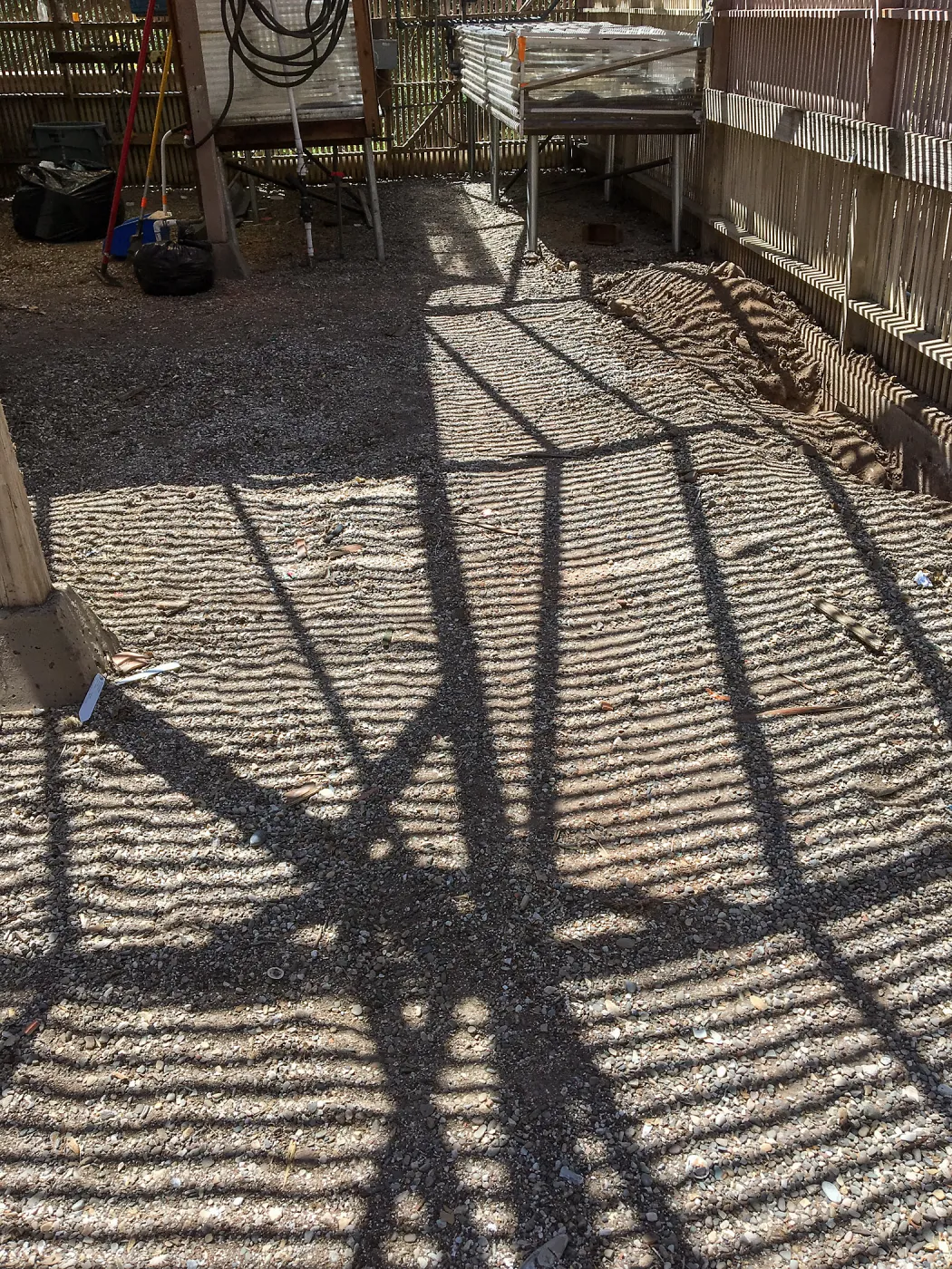 Repair of Garden Growers Lath House, looking west