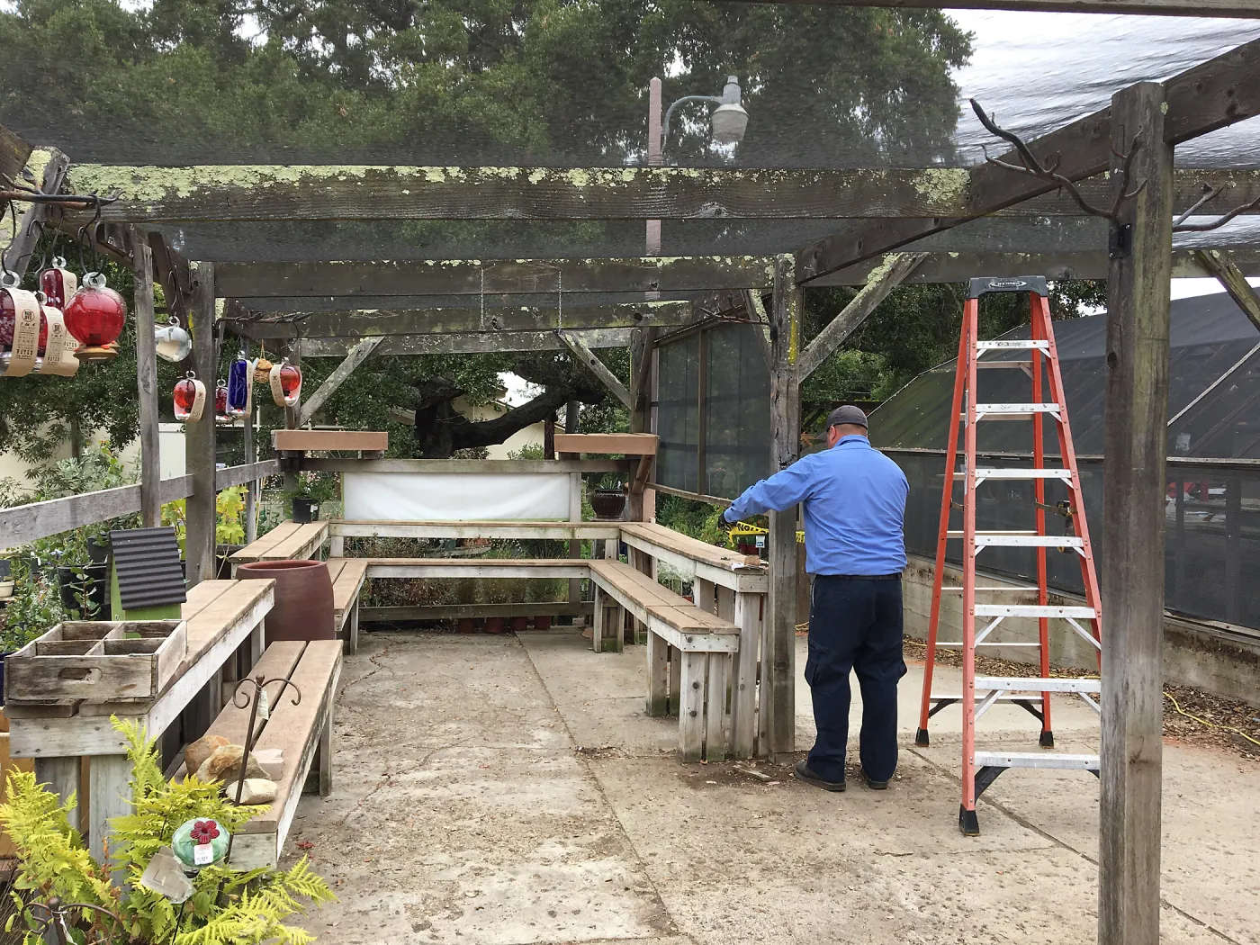 Repair of Garden Growers shade structure, looking south