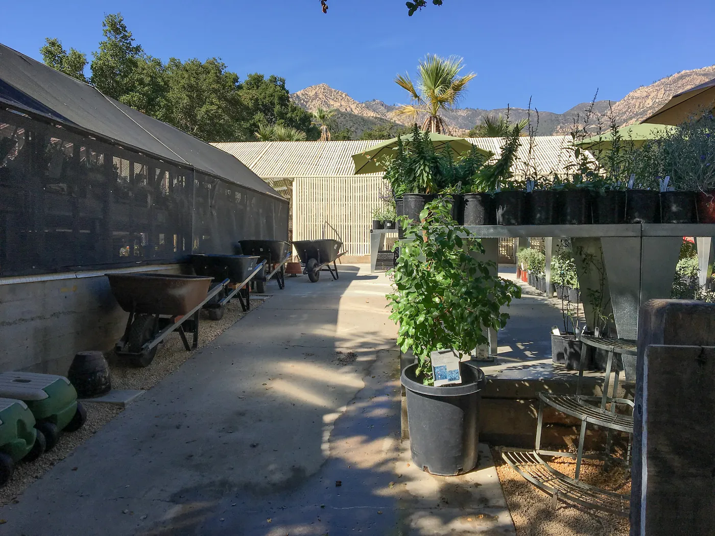 New Tables, Garden Growers Nursery