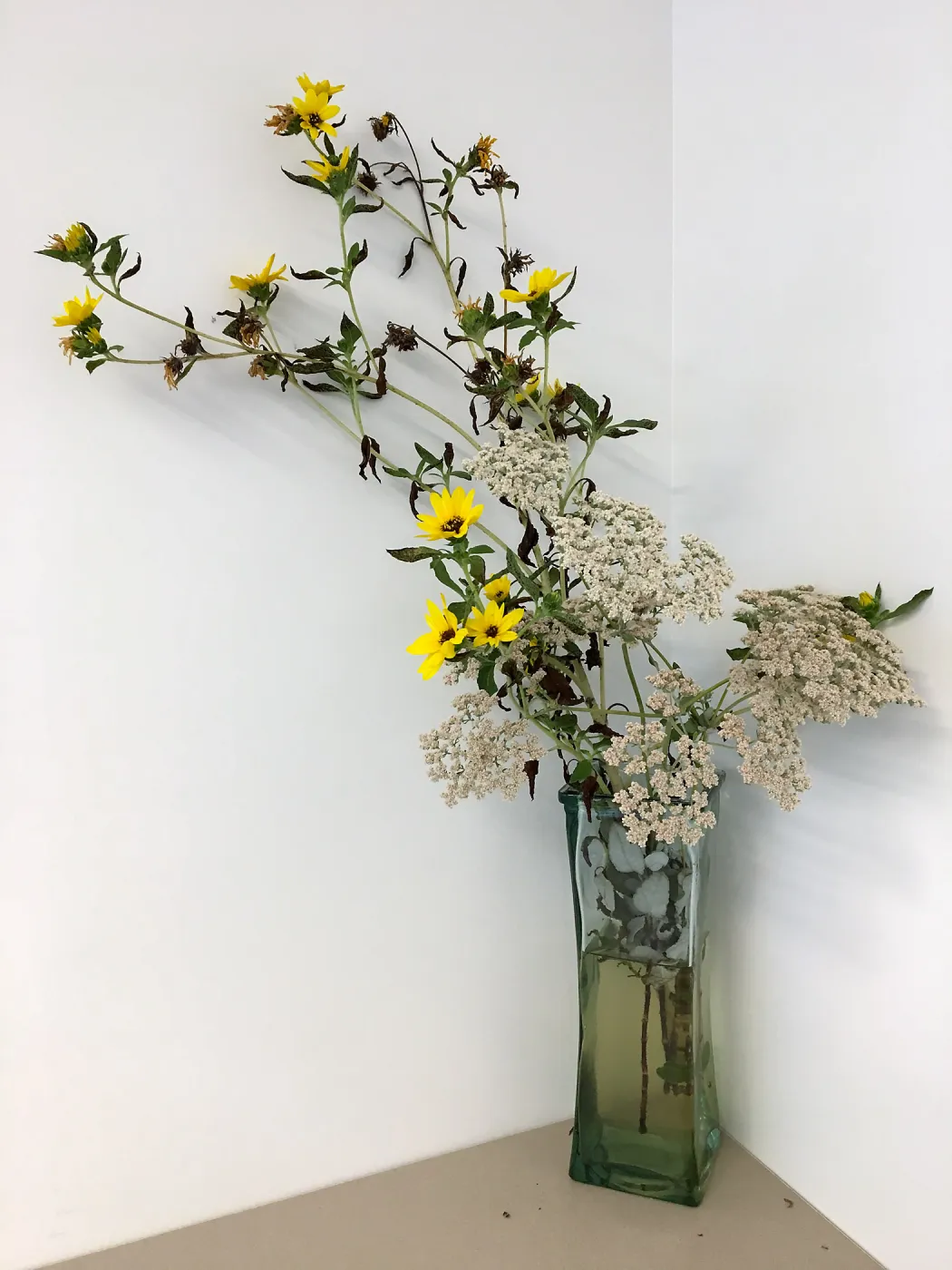 California native plant floral arrangement