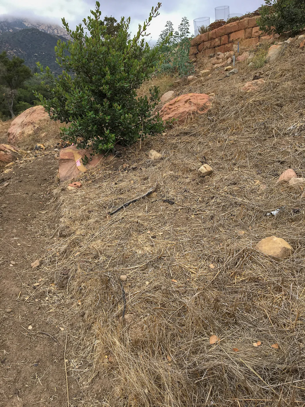 Island Section, slope below PCC