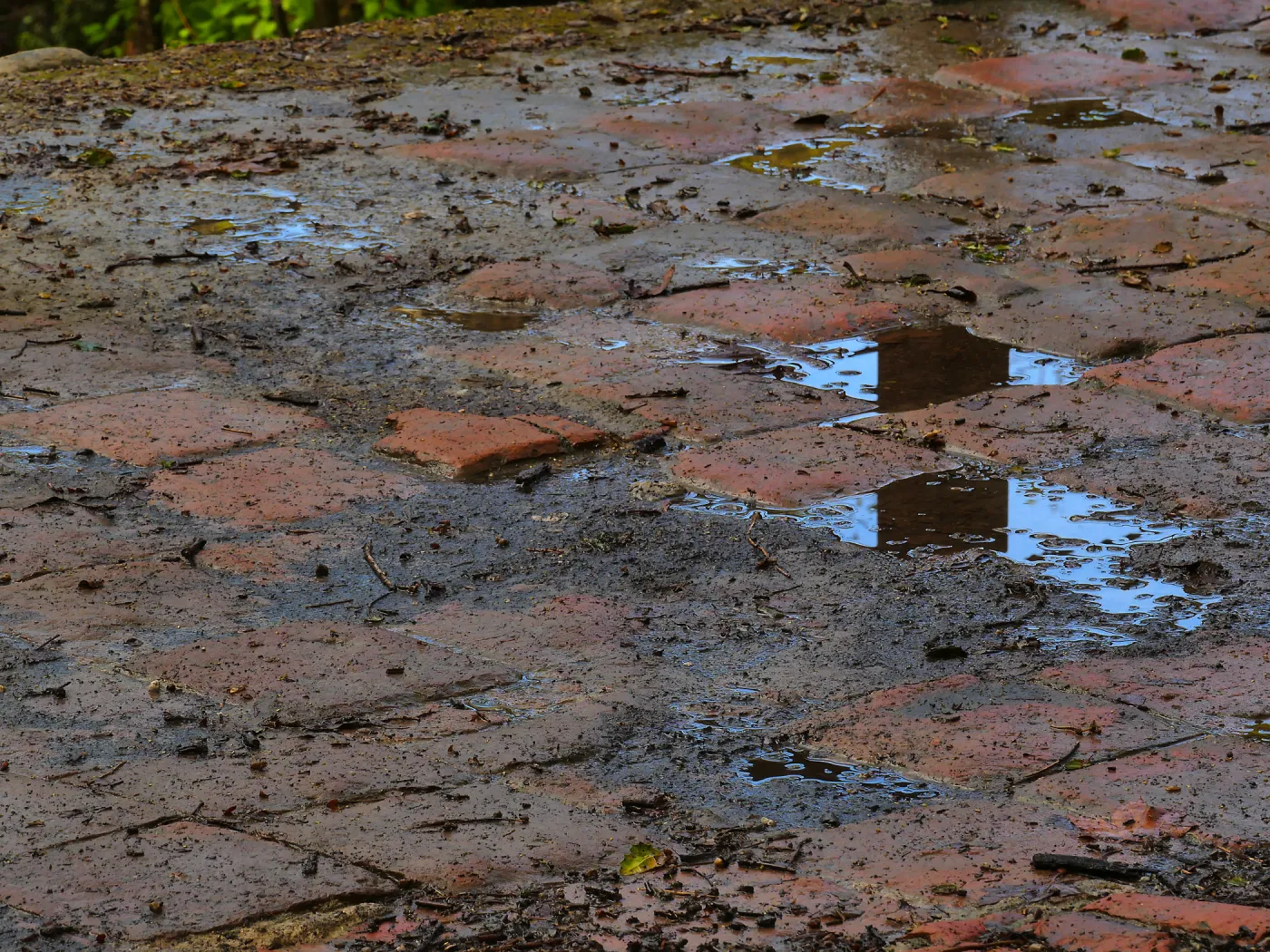 Rainwater on the Mission Dam tiles