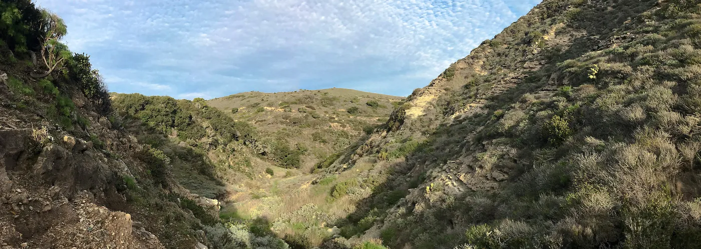 Trail and canyon walls, Cherry Canyon