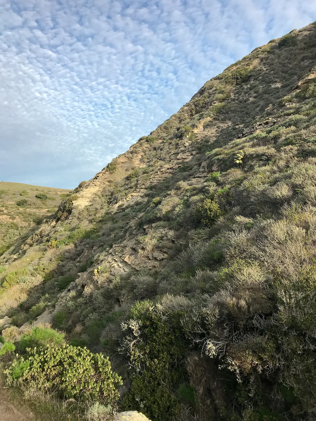 Trail and canyon walls, Cherry Canyon