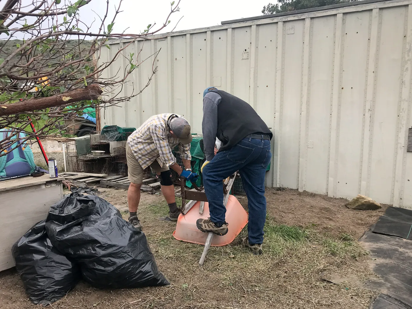 Richard Powell, Dennis Houghton, Repairing wheelbarrow, NPS Nursery