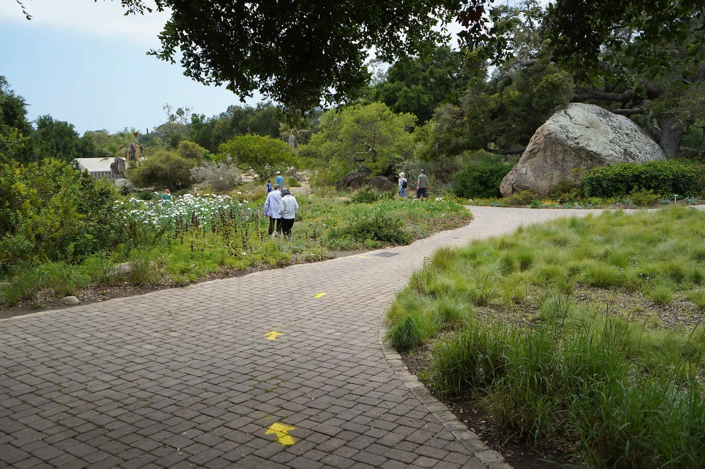 One-way directional arrows, First day of limited reopening to members, after COVID-19 pandemic closure
