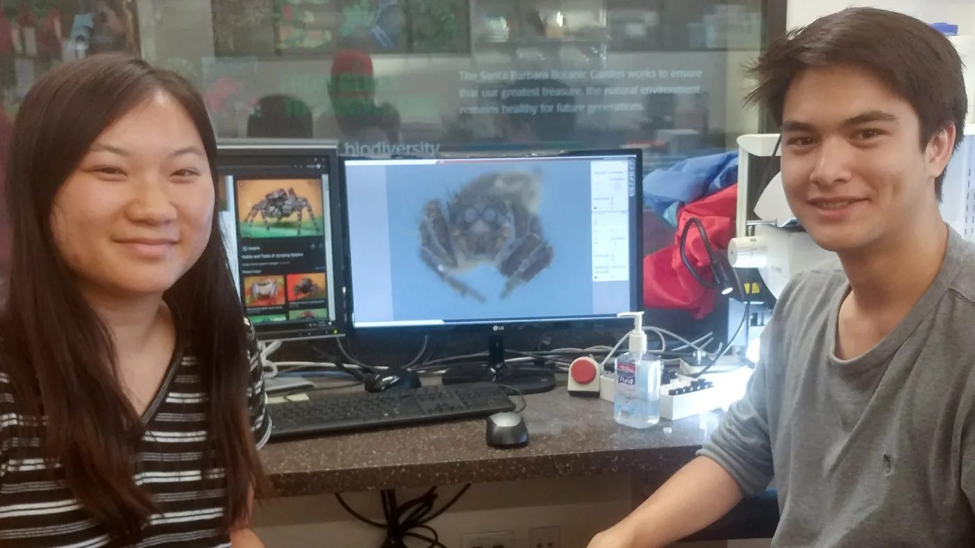 UCSB interns Esther Duh and Nolan Weis are imaging a Jumping Spider