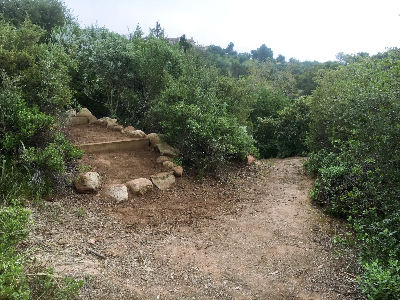 Reworked trail from Pritchett Trail to upper Tunnel Road gate