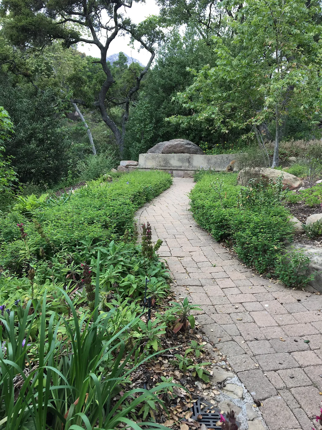 Walkway to Campbell Bench