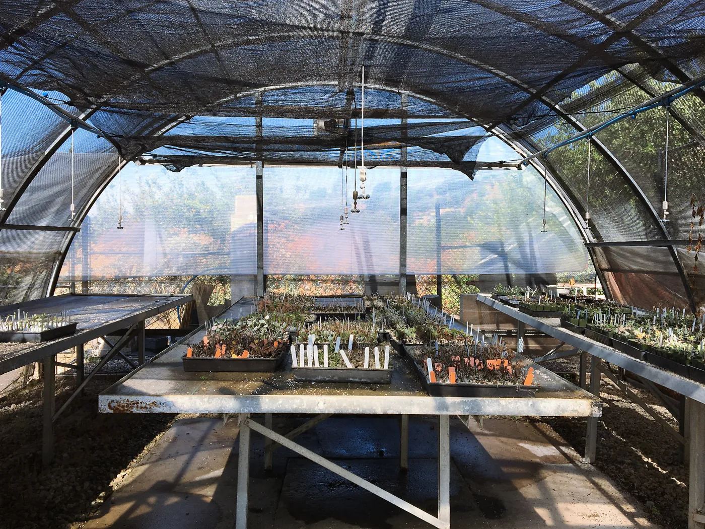 Horticulture hoop house before renovation