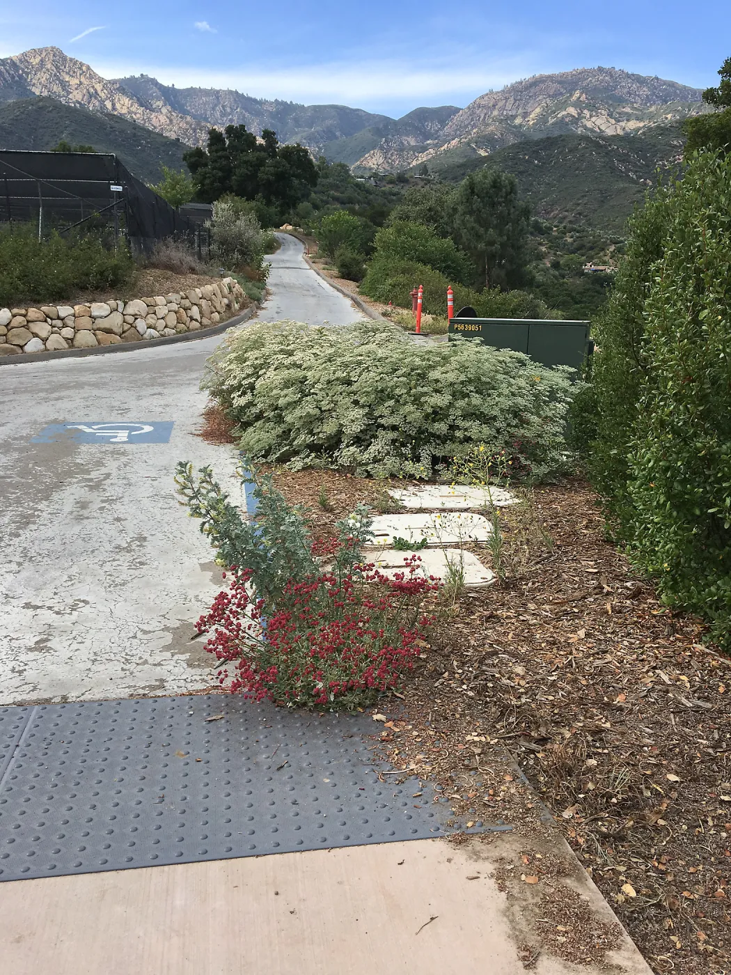 View from northeast corner of Pritzlaff Conservation Center looking north