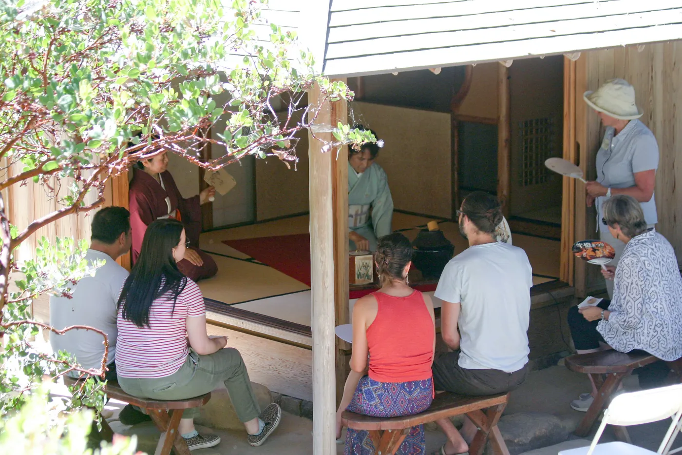Member Appreciation Tea Ceremony