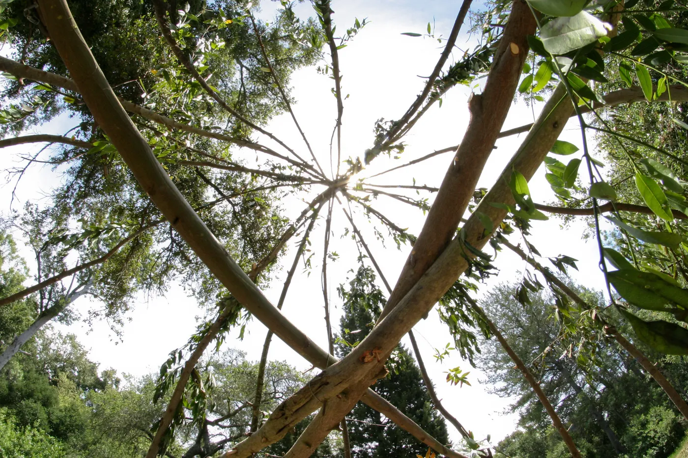 Woodrat House Casita