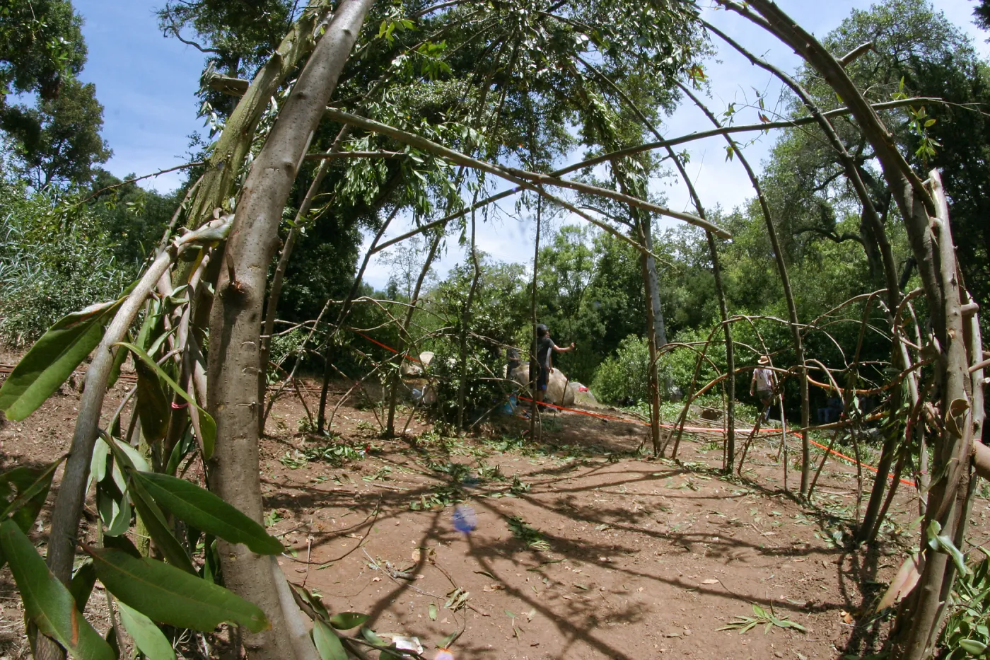 Woodrat House Casita