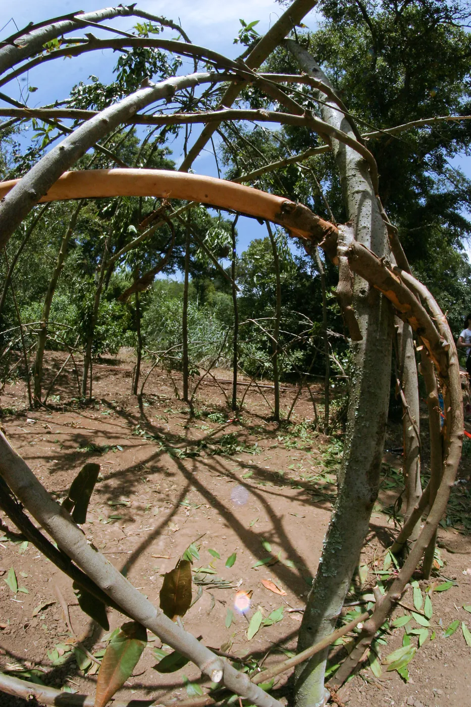 Woodrat House Casita