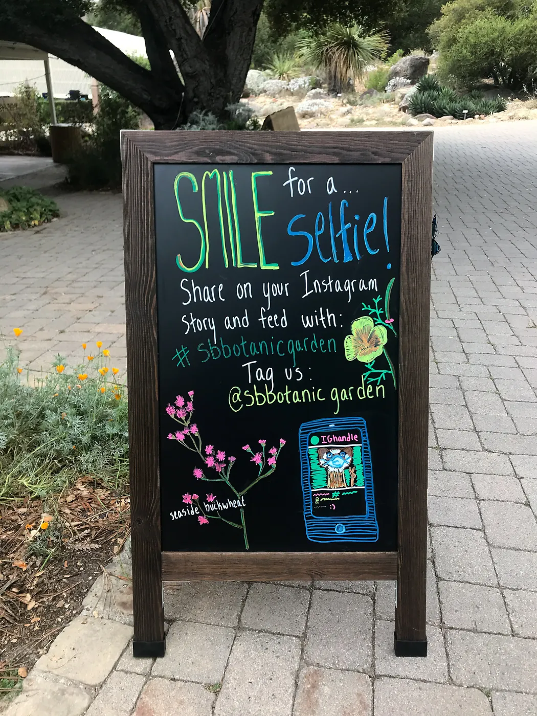 Instagram selfie chalkboard sign