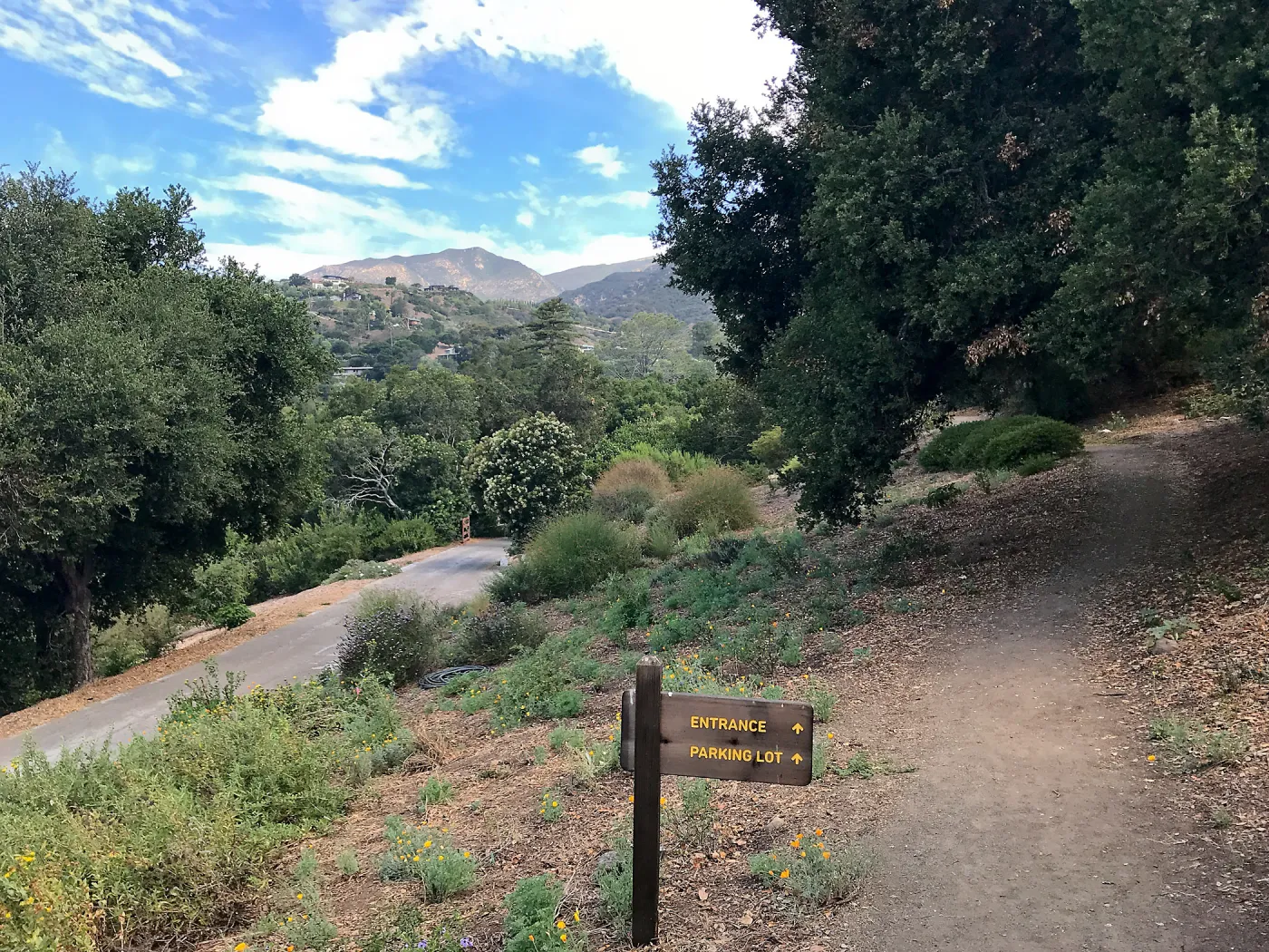 Southwest Trail, looking north
