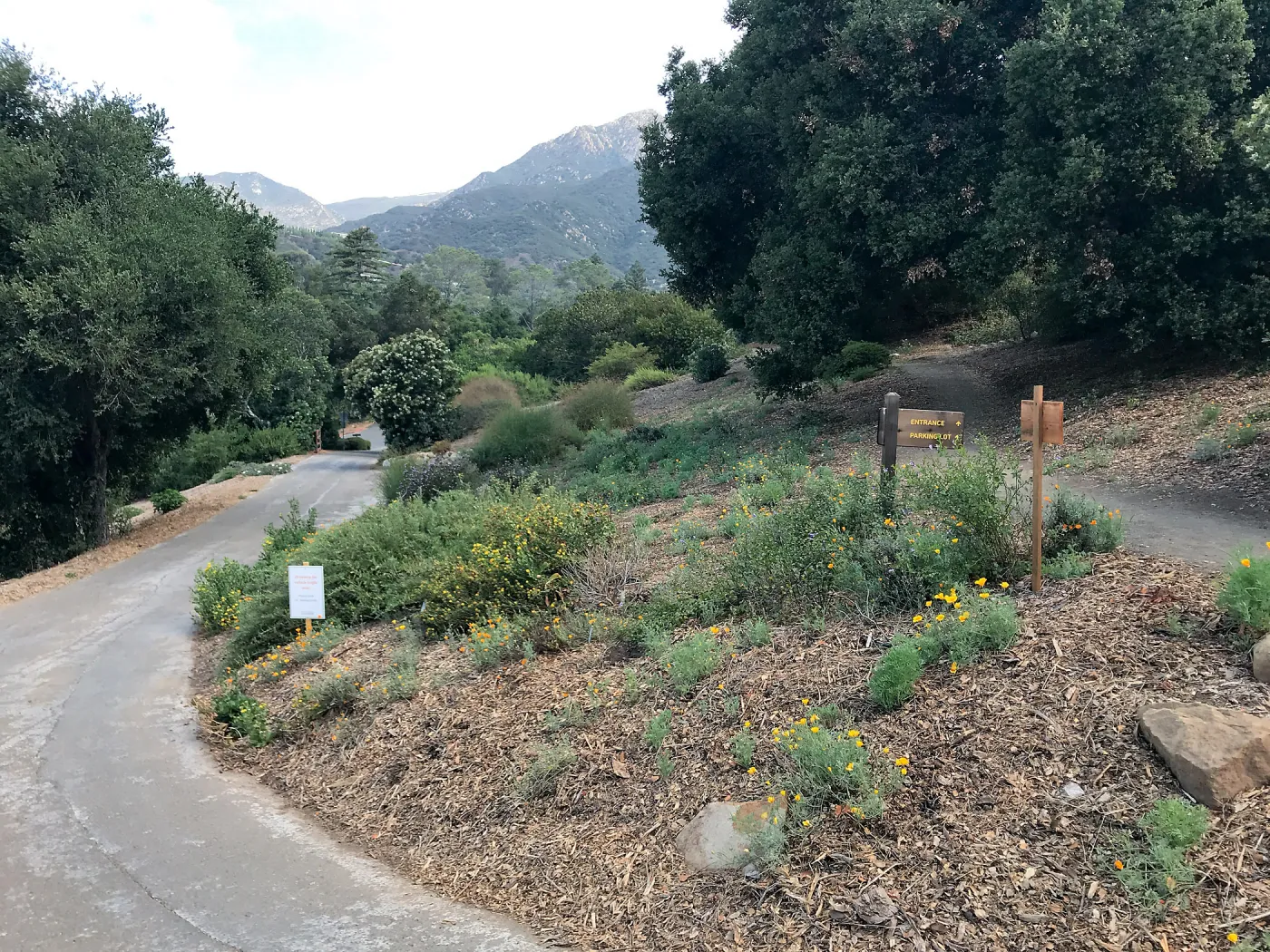 Southwest Trail and east side driveway