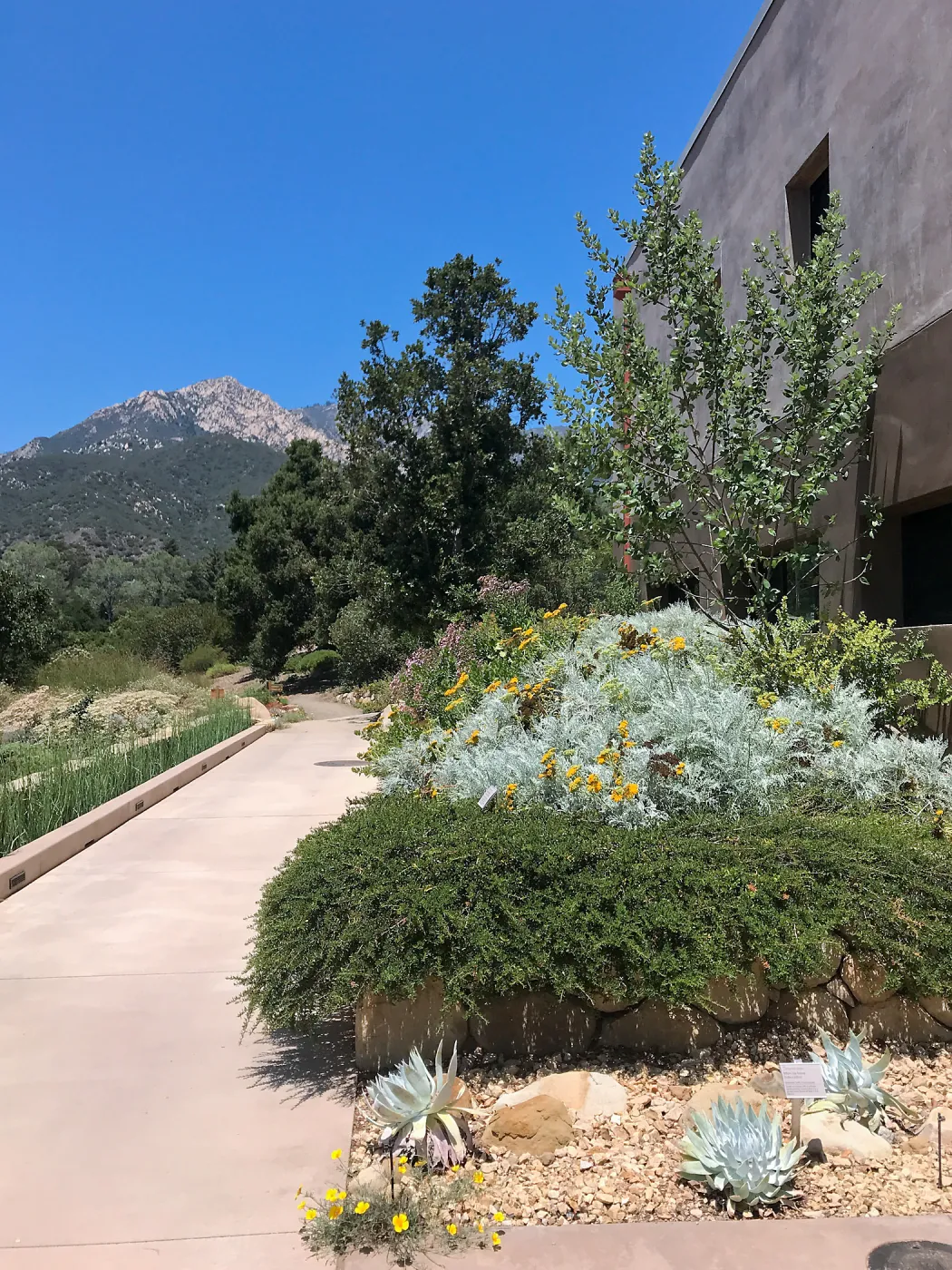 Conservation Garden at Pritzlaff Conservation Center entrance