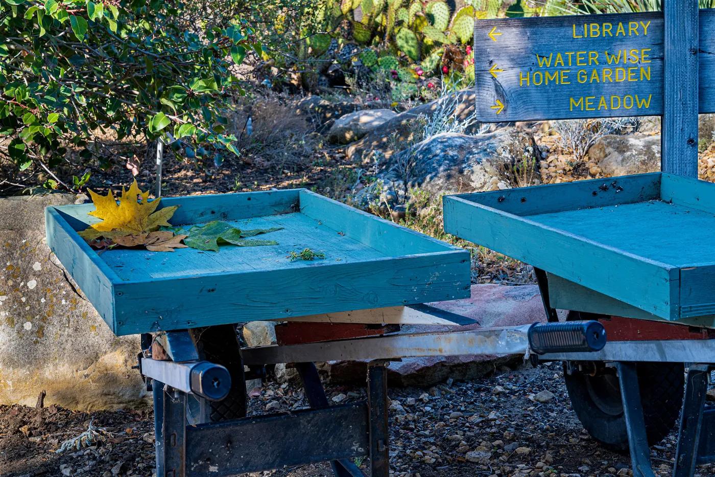 Fill Your Cart With Color