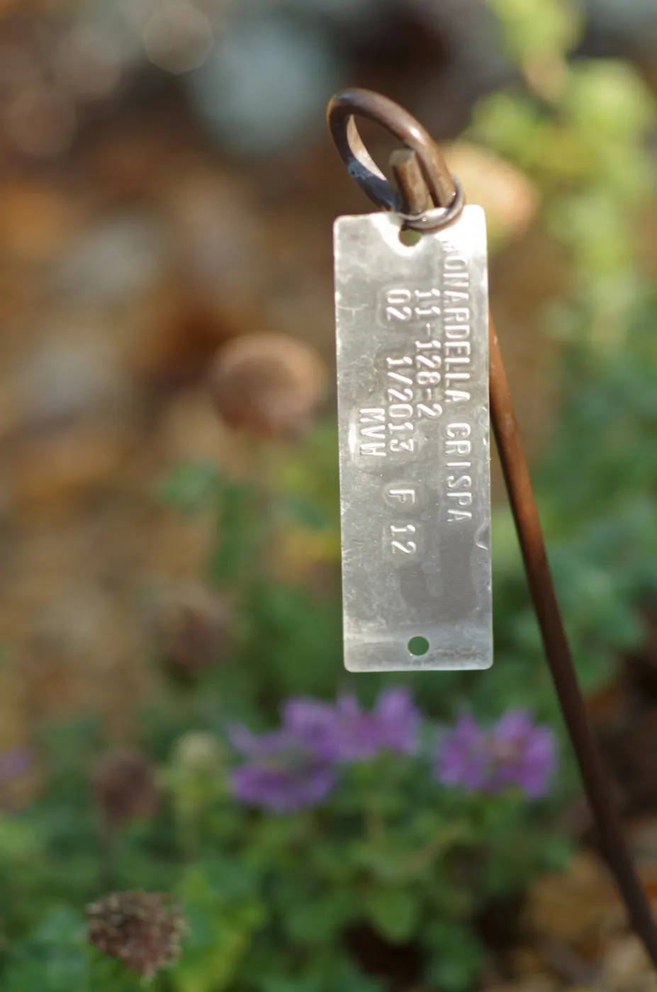 Plant Accession Label