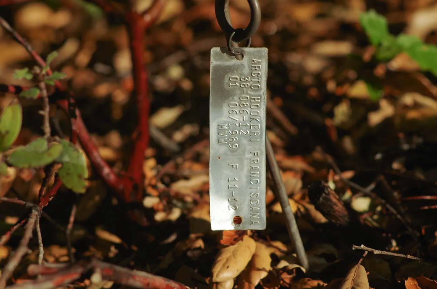 Plant Accession Label