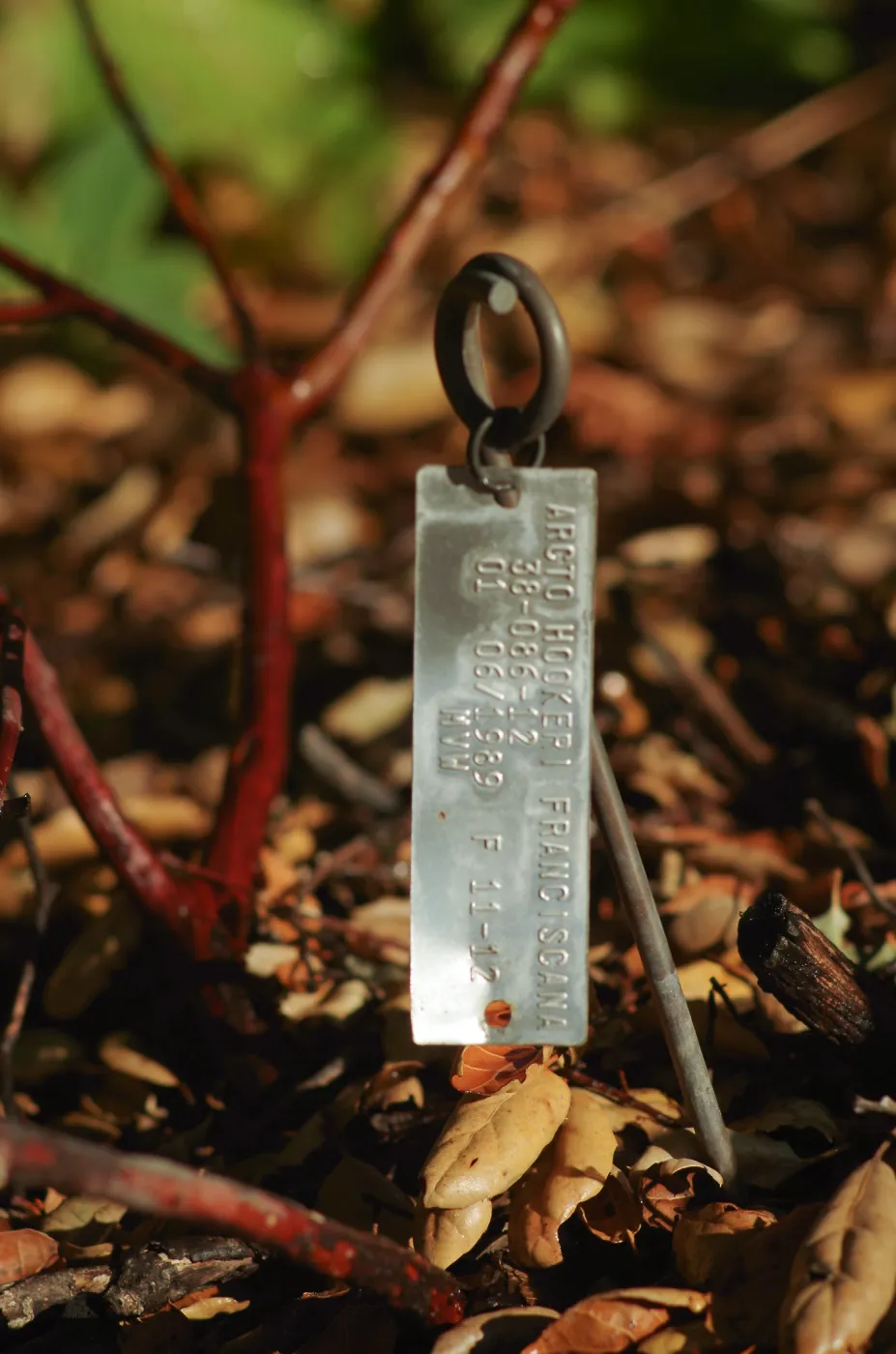 Plant Accession Label