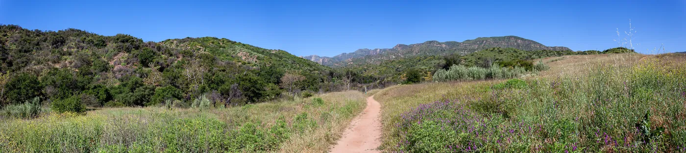 Panorama of post-burn landscape, Ventura River Preserve, Ojai, CA, Thomas Fire Survey - Mapping Recovery project