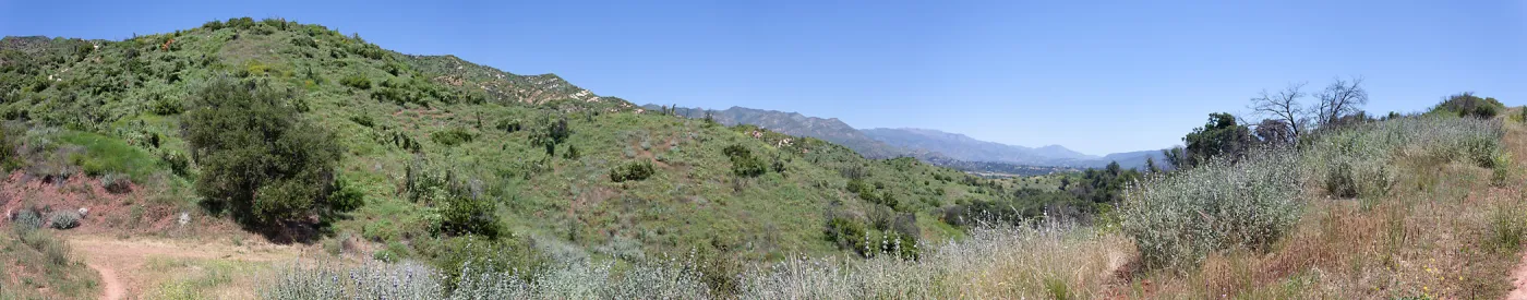 Post-burn chaparral landscape, Rice Canyon Trail at the Ventura River Preserve/LPNF, Ojai, CA, Thomas Fire Survey - Mapping Recovery project
