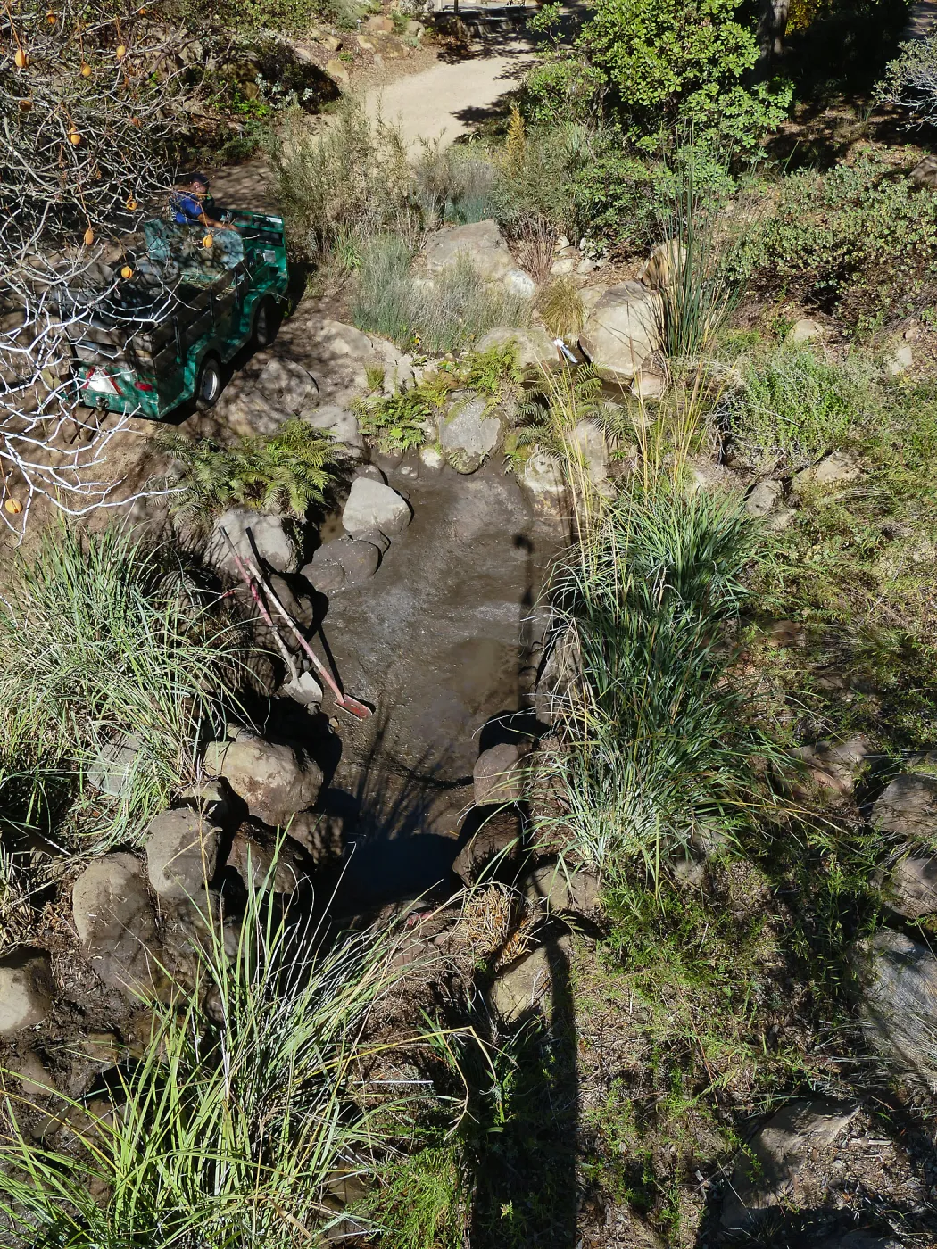 Upper Pond in the Arroyo Section during cleanout project