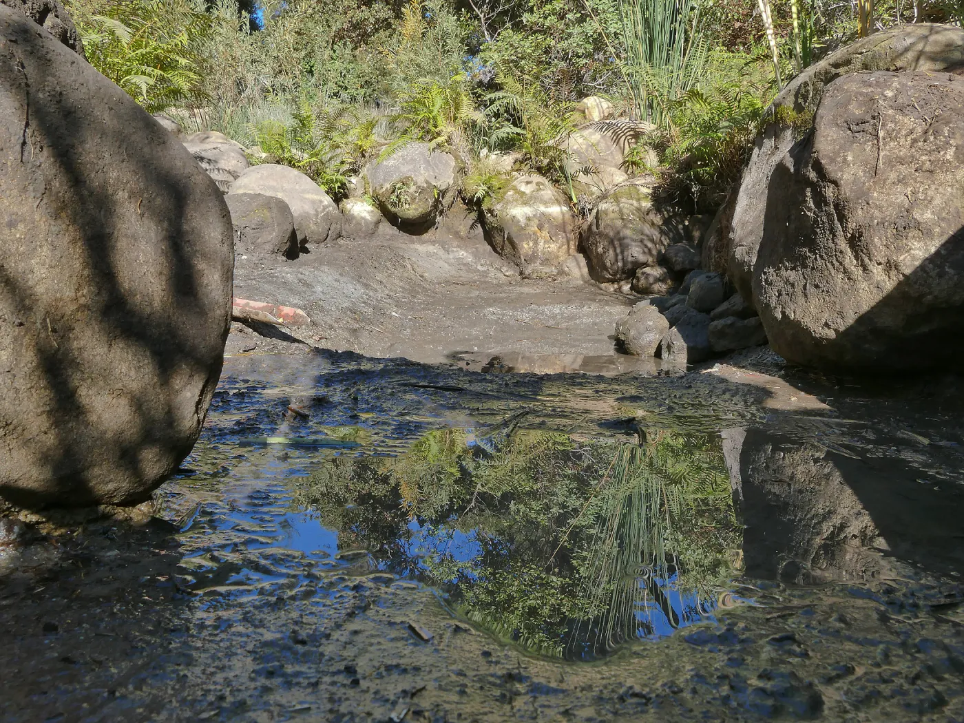 Upper Pond in the Arroyo Section during cleanout project