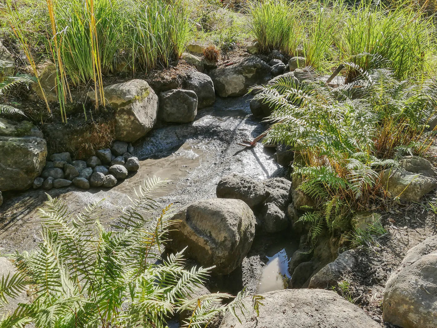 Upper Pond in the Arroyo Section during cleanout project