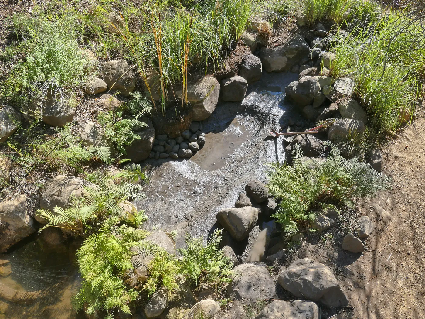Upper Pond in the Arroyo Section during cleanout project