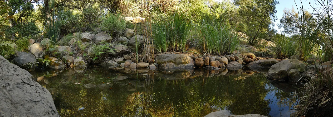 Upper Pond in the Arroyo Section after cleanout project