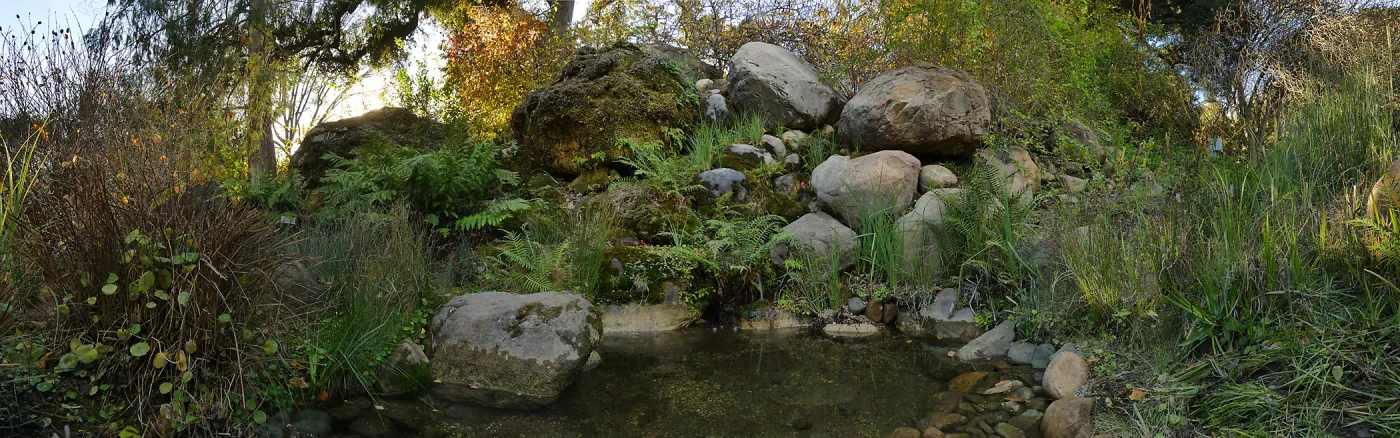 Lower Pond in the Arroyo Section after cleanout project
