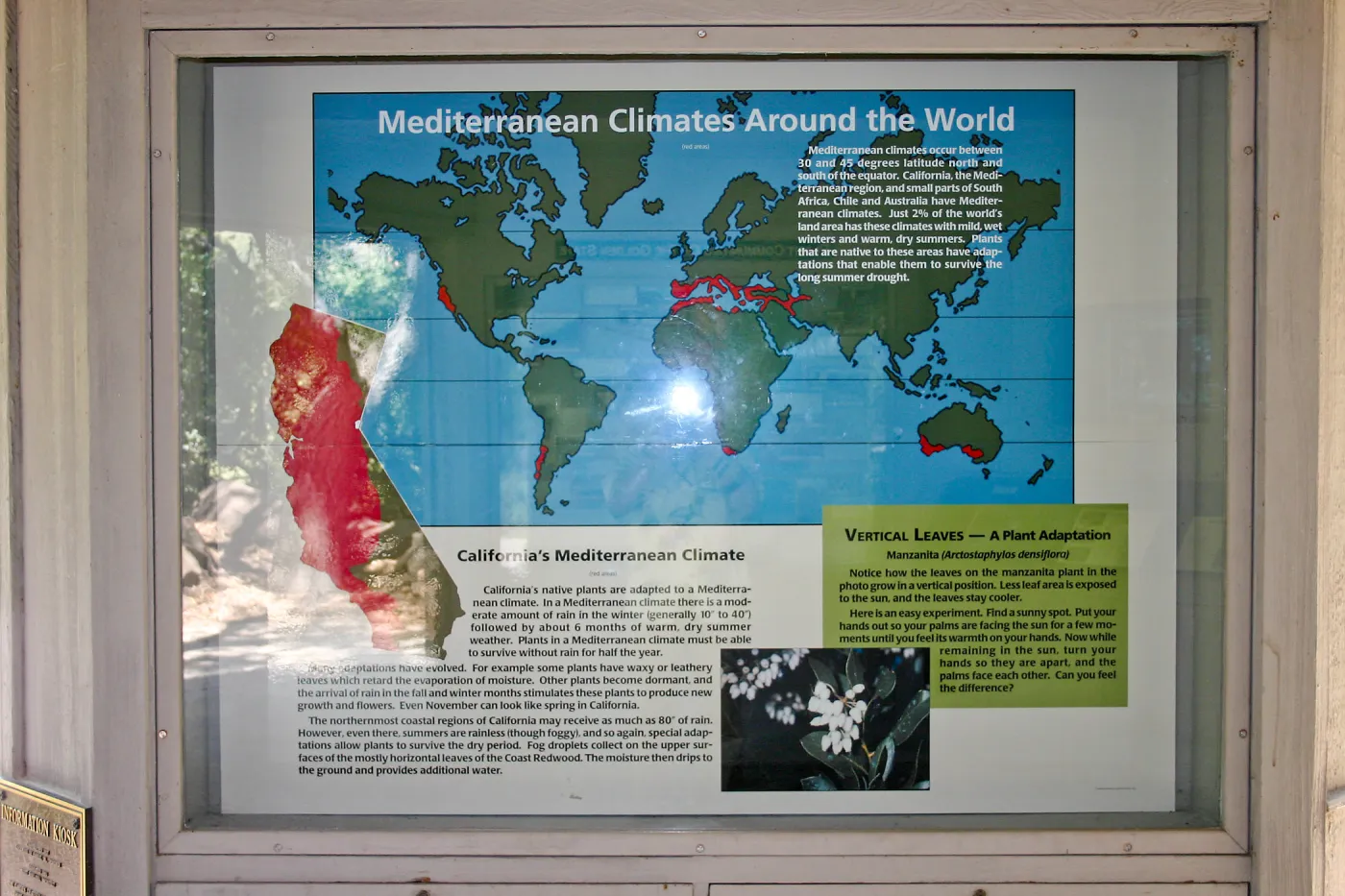 Mediterranean climate display in the Information Kiosk