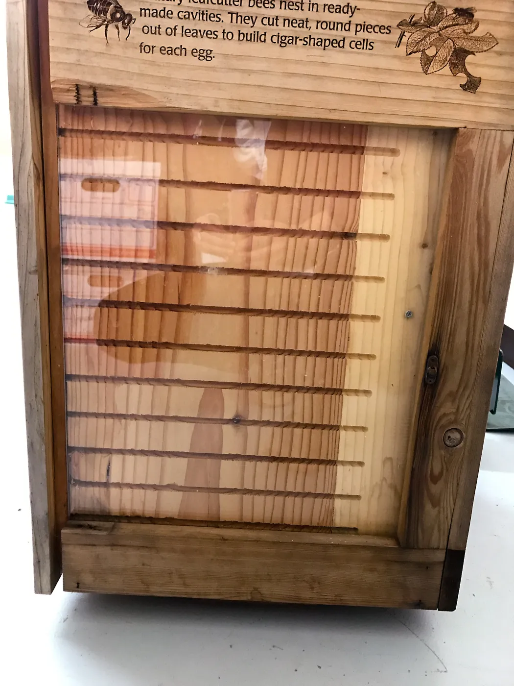 Insect Hotel (Native Bee Condo) after removal from display for repairs