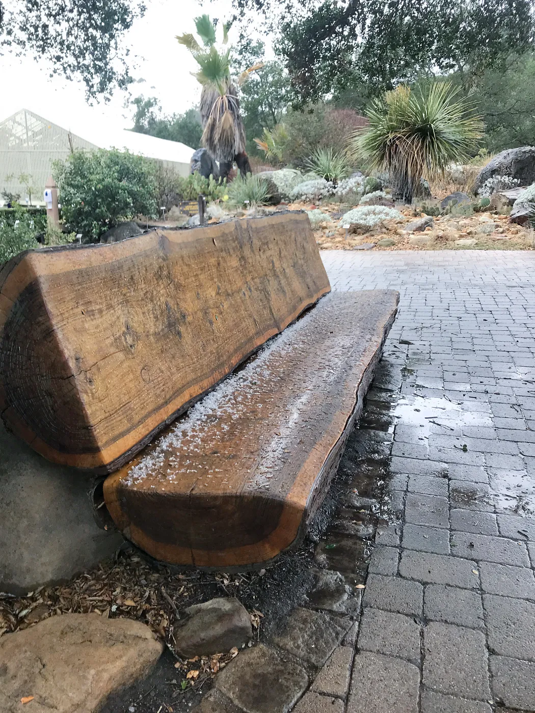 Hail on the Katherine Muller Bench at the entrance
